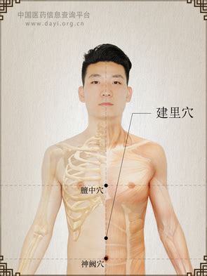 建里穴|建里穴的准确穴位图及功效作用